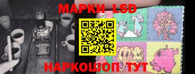 индика Можга