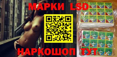 индика Можга