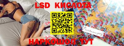 индика Можга