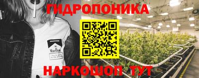 индика Можга
