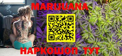 индика Можга