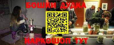 индика Можга