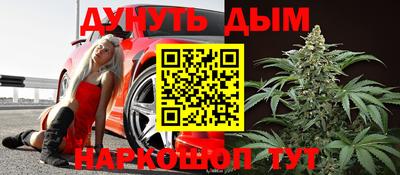 индика Можга