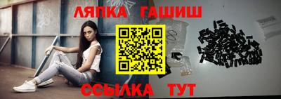 индика Можга
