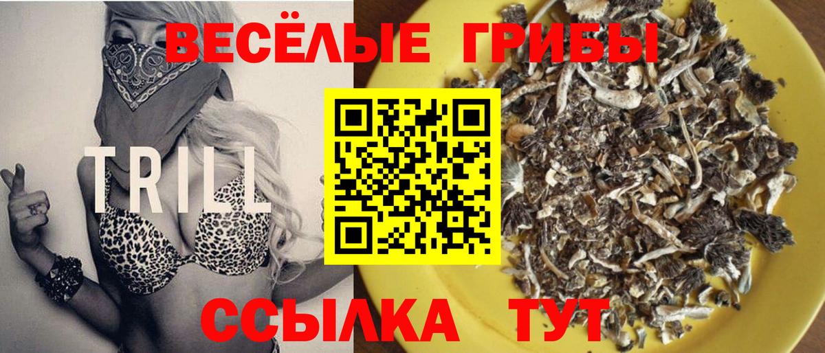 Галлюциногенные грибы Cubensis Унеча
